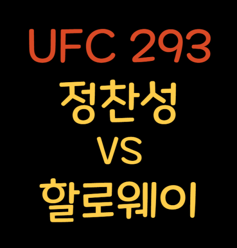 정찬성 할로웨이 중계, 경기일정, 실시간 중계 사이트, 하이라이트 경기 전적 UFC293, 11월