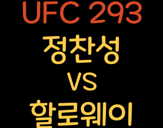 정찬성 할로웨이 중계, 경기일정, 실시간 중계 사이트, 하이라이트 경기 전적 UFC293, 11월