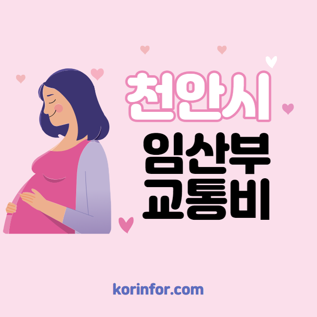 천안시 임산부 교통비