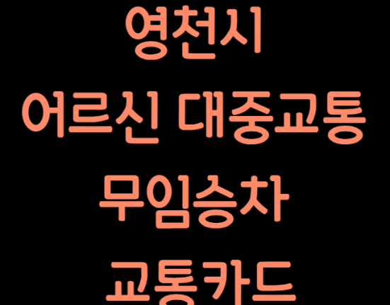 영천시 어르신 통합무임 교통카드 발급 신청 방법 및 대상 (대중교통 무임승차)