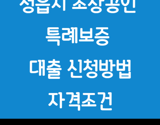 정읍시 소상공인 특례보증 대출 신청 방법 및 자격 조건 (자영업자 3천만원 한도)