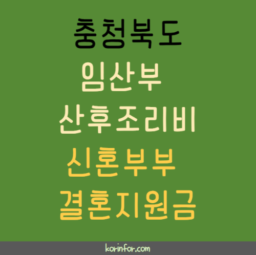 충북 임산부 산후조리비, 신혼부부 결혼지원금 신청 방법 및 대상 (50만원 100만원 충청북도 청주 충주 제천시 보은 옥천 영동 증평 진천 괴산 음성 단양군)