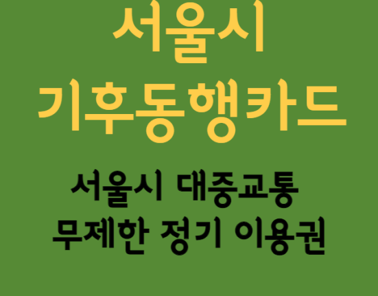 기후동행카드 사용범위, 사용방법, 구매방법 (서울시 대중교통 무제한 정기 이용권 6만 5천원, 버스, 지하철, 따릉이 공공자전거)