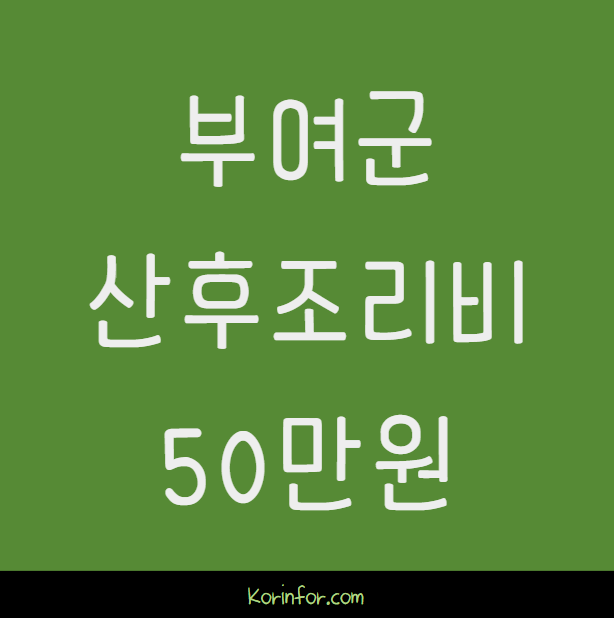 부여군의 산후조리비 지원 50만원