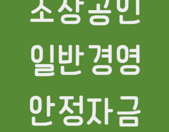 소상공인 일반경영안정자금 신청 방법 및 대상 (2024 소상공인 정책자금 일반자금 대출 한도 금리 기간)