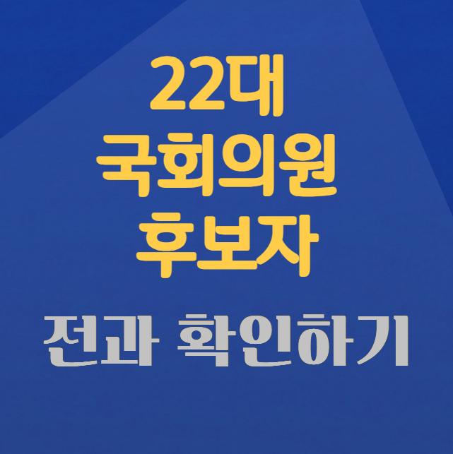 22대 국회의원 후보 전과