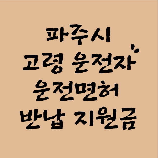 파주시 고령 운전면허 반납 지원금 30만원 신청 방법 및 대상 (75세 이상 어르신 면허 반납)