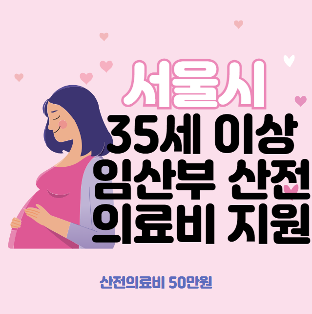 서울시 35세 이상 임산부 산전 의료비 지원