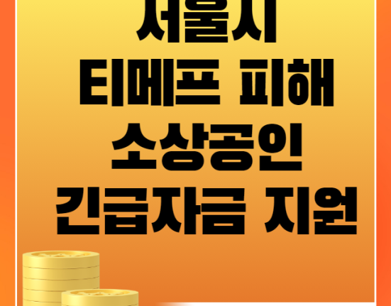 서울시 티메프 피해 소상공인 긴급자금 지원 신청 방법 및 대상 (티몬 위메트 피해 대출 지원, 이커머스 입점 피해 회복자금, 희망동행자금)