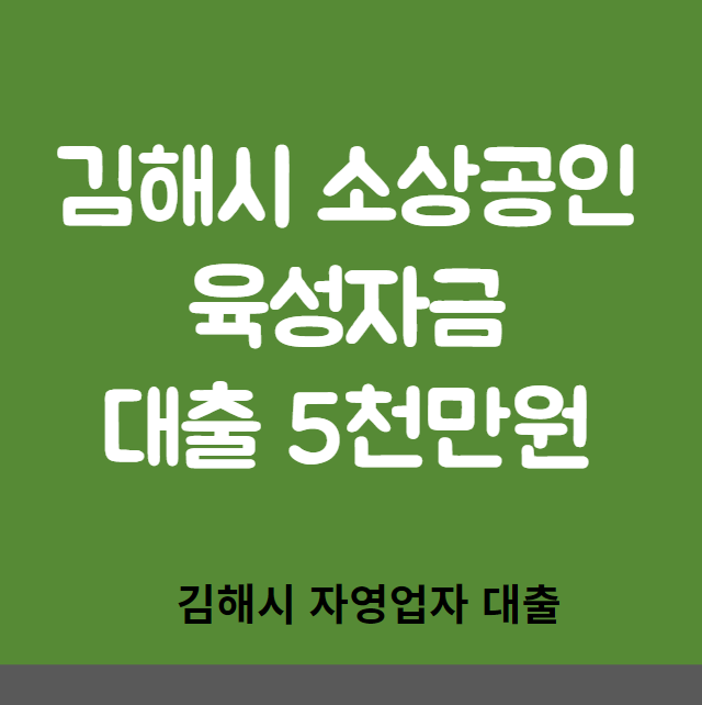 김해시 소상공인 육성자금 대상