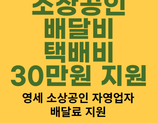 소상공인 배달비 택배비 30만원 지원: 신청 방법 및 자격 대상 (영세소상공인 자영업자 배달료 지원)