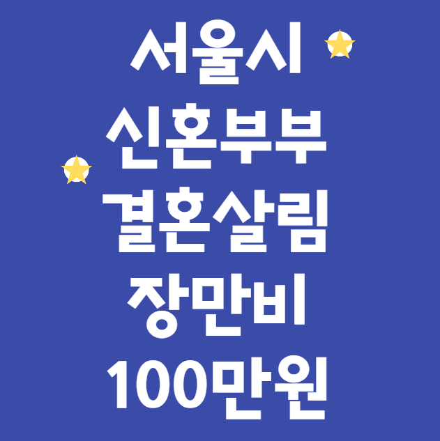 서울시 신혼부부 결혼살림 장만비 100만원