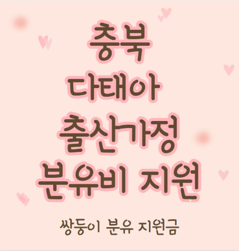 충북 다태아 출산가정 분유 구입비 신청 방법 및 대상 (쌍둥이 분유지원금청주시 충주시 제천시 보은군 옥천군 영동군 증평군 진천군 괴산군 음성군 단양군)