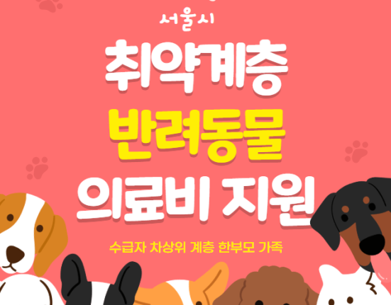 서울시 취약계층 반려동물 의료비 40만원 지원 신청 방법 및 지원 대상 (수급자 차상위계층 한부모가족)