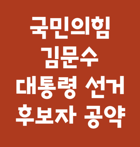 김문수 공약 국민의힘 대통령 선거 후보자 공약