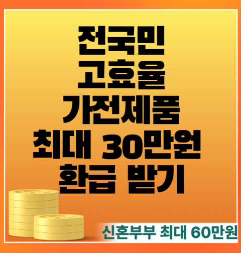 전국민 고효율 가전제품 30만원 환급 신청 방법, 대상 품목은? (세탁기 건조기 냉장고 청소기 TV 제습기 식기세척기 등)