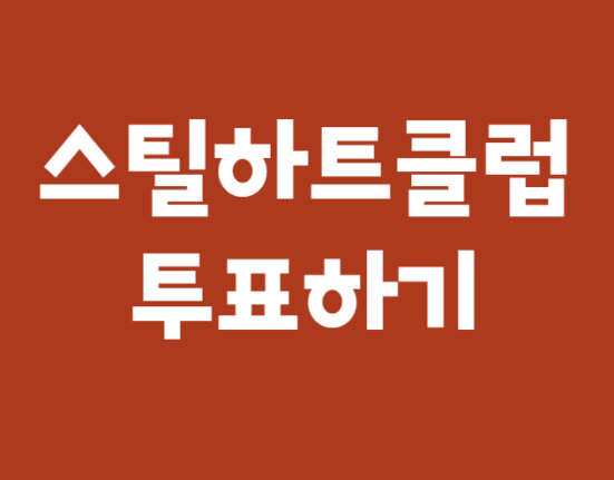 스틸하트클럽 투표하기, 투표 방법 (글로벌 투표 엠넷 밴드)
