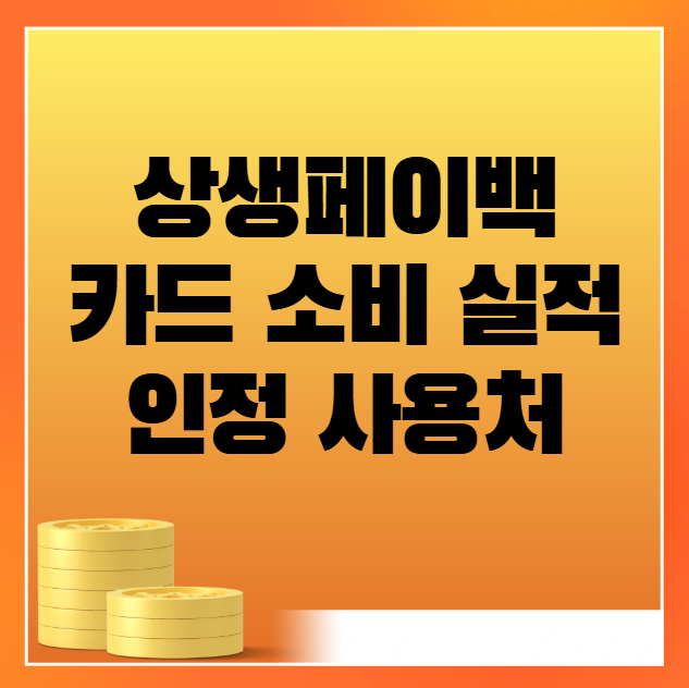 상생페이백 카드 소비 실적 인정 사용처 조회방법