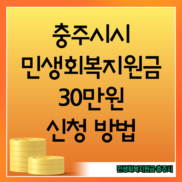 충주시 민생회복지원금 30만원