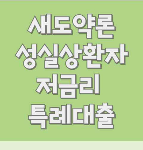 새도약론 신청 방법 및 대상 (성실상환자 대출 한도 금리)