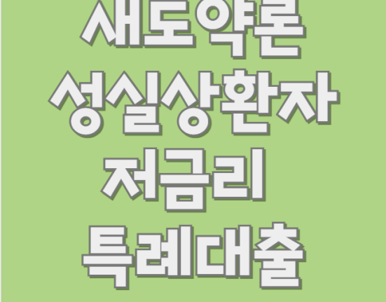 새도약론 신청 방법 및 대상 (성실상환자 대출 한도 금리)