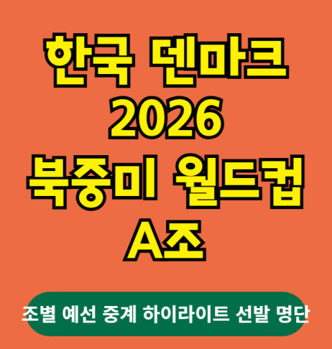 대한민국 덴마크 북중미 월드컵 A조 예선 하이라이트 중계 선발 분석