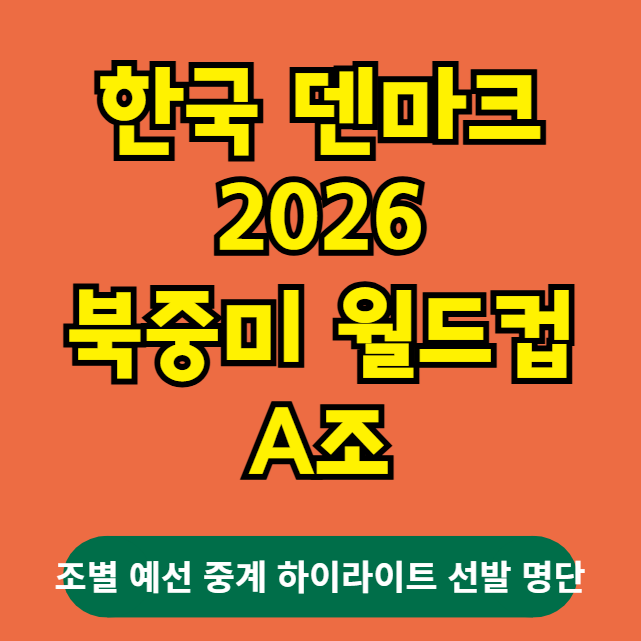 대한민국 덴마크 북중미 월드컵 A조 예선 하이라이트 중계 선발 분석