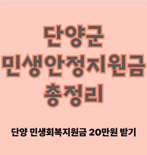 단양군 민생안정지원금 20만원 지급 시기, 신청 방법, 사용처, 대상자 총정리 (단양 민생회복지원금)